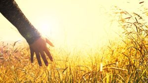 Group Norms, Neurodivergence, and Social Justice