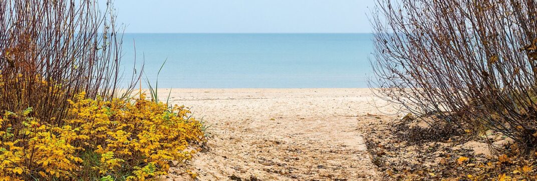 More than Pictures, More than Stories: The Power of Therapeutic Metaphor