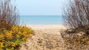 More than Pictures, More than Stories: The Power of Therapeutic Metaphor