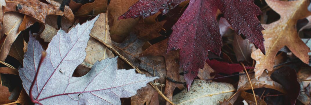 How to Ground Yourself When Everything Feels Like Too Much