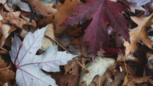 How to Ground Yourself When Everything Feels Like Too Much