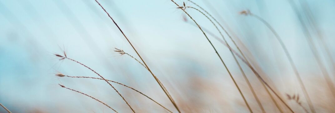 Learning to Tolerate Distress in a Distressing World